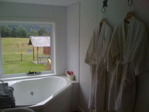 Sassafras Springs - Maitland Accommodation 8