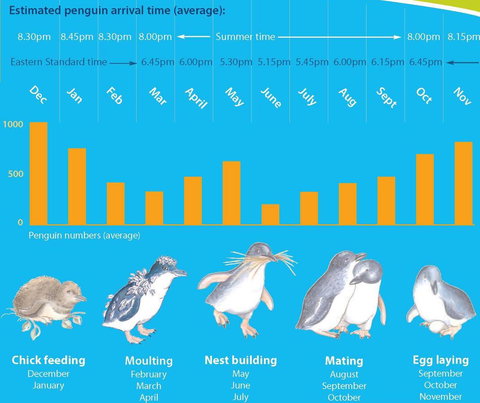 Diamond Island Resort - Maitland Accommodation 28