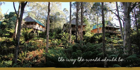 Lemonthyme Wilderness Retreat - Maitland Accommodation 20