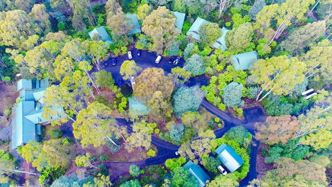 Lemonthyme Wilderness Retreat - Maitland Accommodation 1