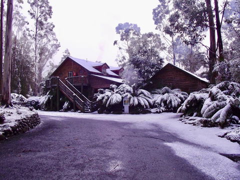 Lemonthyme Wilderness Retreat - Maitland Accommodation 12