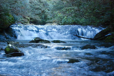 Lemonthyme Wilderness Retreat - Maitland Accommodation 10