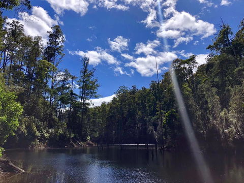 Lemonthyme Wilderness Retreat - Maitland Accommodation 7