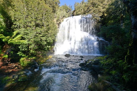 Lemonthyme Wilderness Retreat - Maitland Accommodation 19