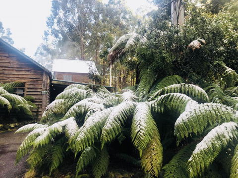 Lemonthyme Wilderness Retreat - Maitland Accommodation 5
