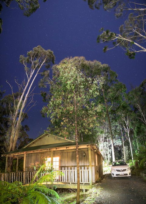 Lemonthyme Wilderness Retreat - Maitland Accommodation 3