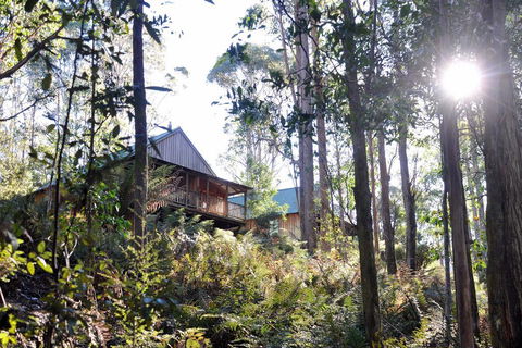 Lemonthyme Wilderness Retreat - Maitland Accommodation 25