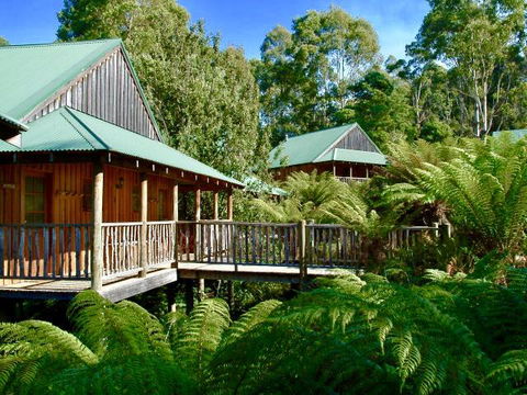 Lemonthyme Wilderness Retreat - Maitland Accommodation 11