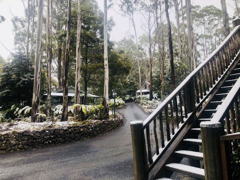 Lemonthyme Wilderness Retreat - Maitland Accommodation 15