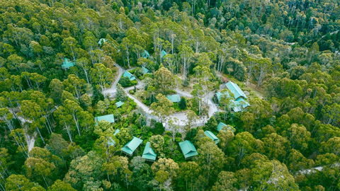 Lemonthyme Wilderness Retreat - Maitland Accommodation 0