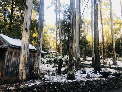 Lemonthyme Wilderness Retreat - Maitland Accommodation 6