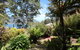 Osprey Lodge & Bungalow - thumb 6