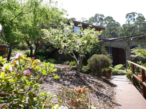 Osprey Lodge & Bungalow - Maitland Accommodation 20