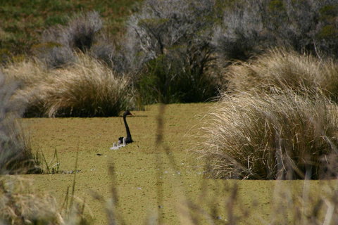 Cloudy Bay Beach House - Maitland Accommodation 15