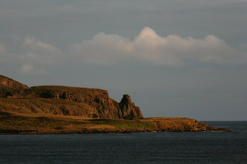 Cloudy Bay Beach House - Maitland Accommodation 28
