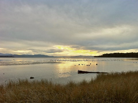 Cloudy Bay Beach House - Maitland Accommodation 11