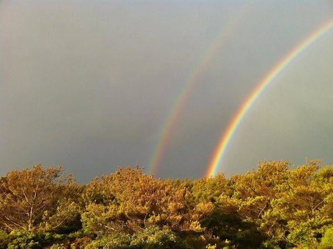 Cloudy Bay Beach House - Maitland Accommodation 44