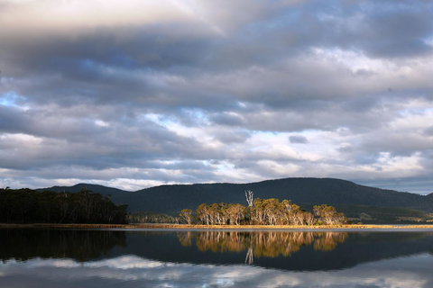 Cloudy Bay Beach House - Maitland Accommodation 12