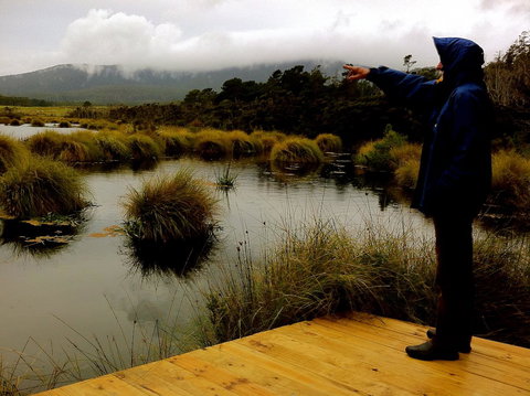 Cloudy Bay Beach House - Maitland Accommodation 35