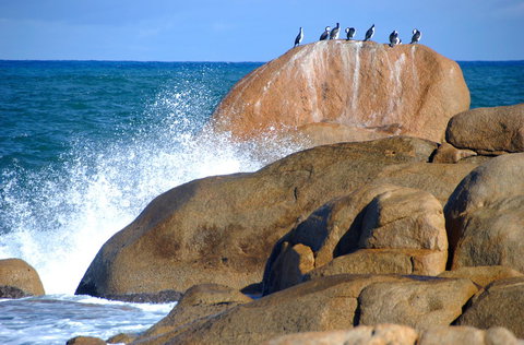 Cloudy Bay Beach House - Maitland Accommodation 29