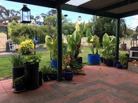 Blue Wren Bungalow - Maitland Accommodation 0