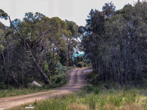 BAY OF FIRES ECO HUT Off Grid Experience At Binalong Bay - Maitland Accommodation 12