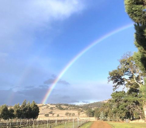 Taras Richmond Farmstay - Maitland Accommodation 29