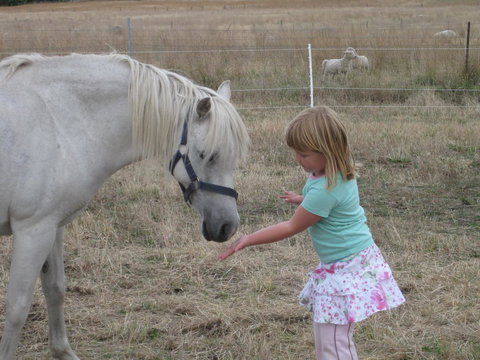 Taras Richmond Farmstay - Maitland Accommodation 19