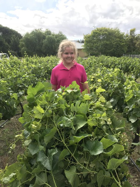 Taras Richmond Farmstay - Maitland Accommodation 11