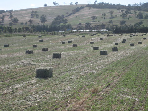 Taras Richmond Farmstay - Maitland Accommodation 18