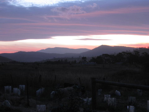 Taras Richmond Farmstay - Maitland Accommodation 22