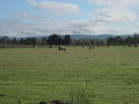 Taras Richmond Farmstay - Maitland Accommodation 13