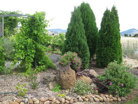 Taras Richmond Farmstay - Maitland Accommodation 23