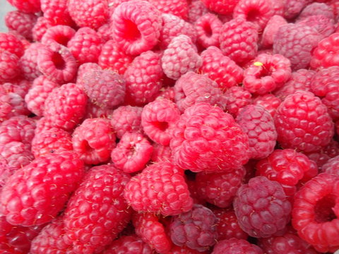 Taras Richmond Farmstay - Maitland Accommodation 15