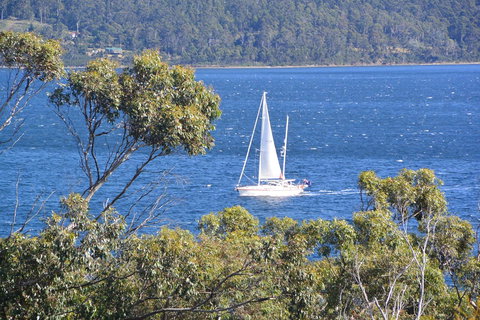 The Tree House - Maitland Accommodation 5