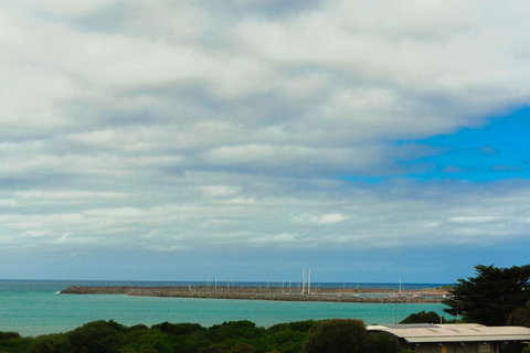 The Apollo - Maitland Accommodation 11