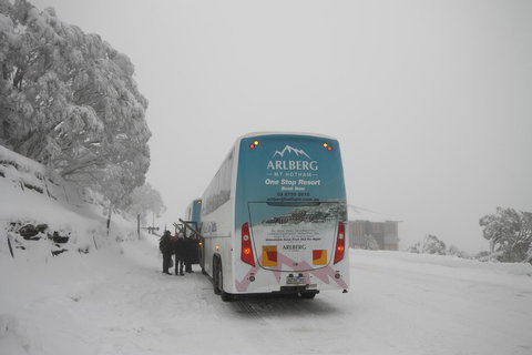 Arlberg Hotham - Maitland Accommodation 17