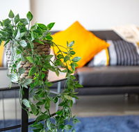 Brand New One/Two - Bed Room Apartment  Maribyrnong - Maitland Accommodation