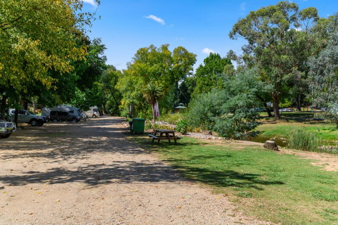Bright Riverside Holiday Park - Maitland Accommodation 19