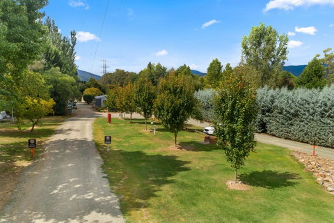 Bright Riverside Holiday Park - Maitland Accommodation 16