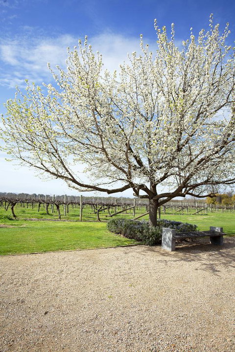 Lancemore Milawa - Maitland Accommodation 12