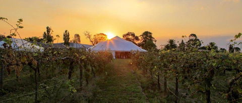 Bay Motel Safety Beach - Maitland Accommodation 21