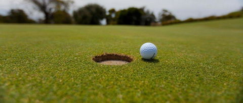 Bay Motel Safety Beach - Maitland Accommodation 14