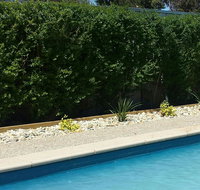 Robinvale Bridge Motel - Maitland Accommodation