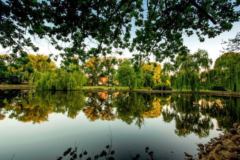 BIG4 Castlemaine Gardens - Maitland Accommodation 19
