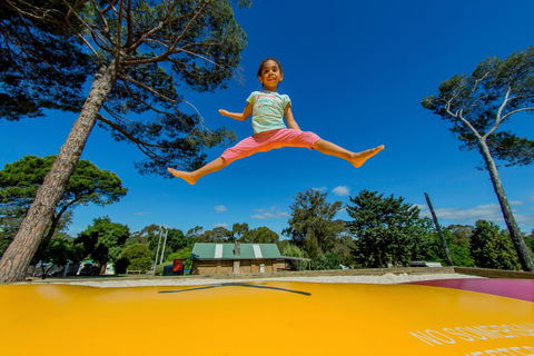 BIG4 Castlemaine Gardens - Maitland Accommodation 21