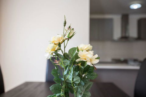 Holiday Rose - Maitland Accommodation 8
