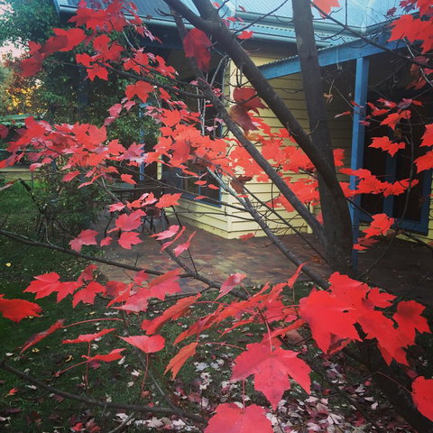 The Orchard House - Maitland Accommodation 27