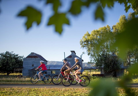 Goldfield Holiday Units - Maitland Accommodation 32