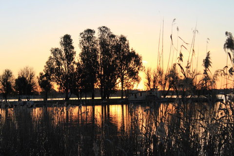 Motel Yarrawonga - Maitland Accommodation 20